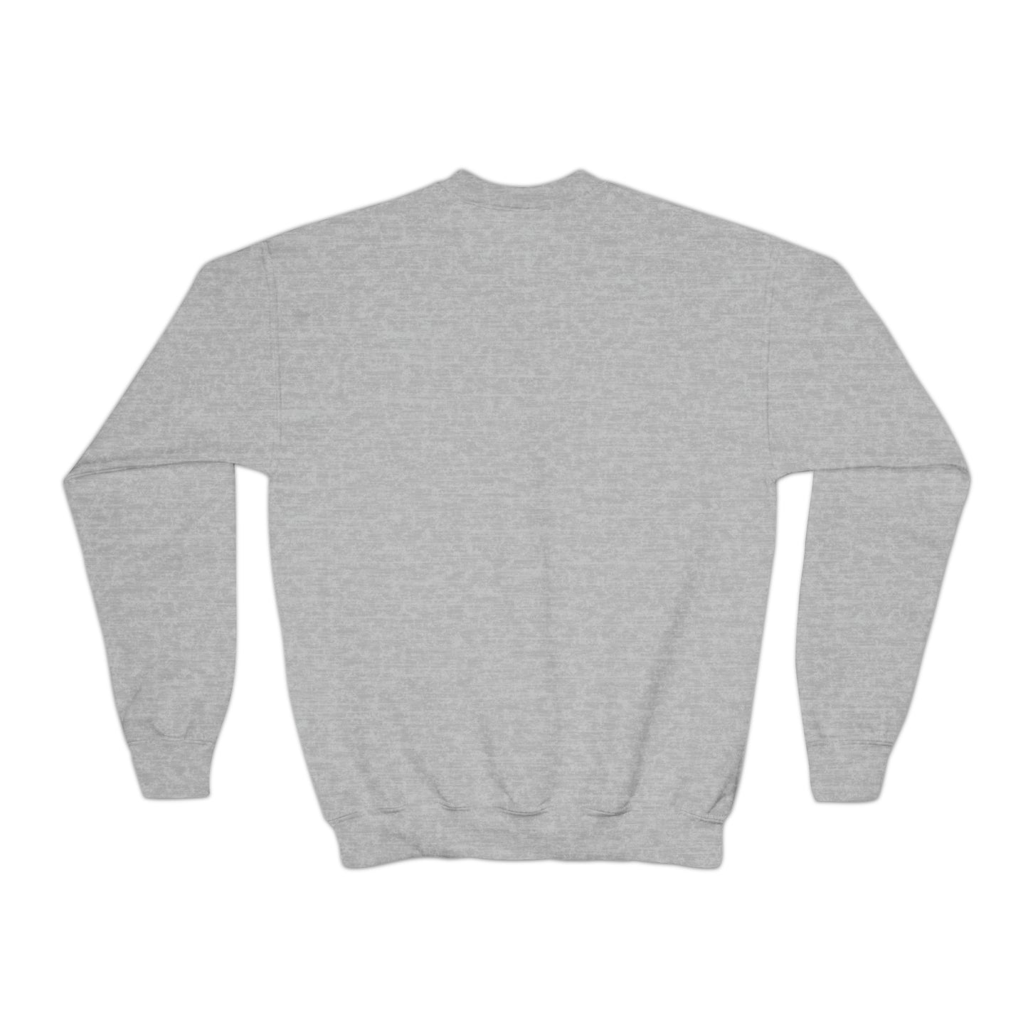Sweat-shirt à col rond pour jeunes