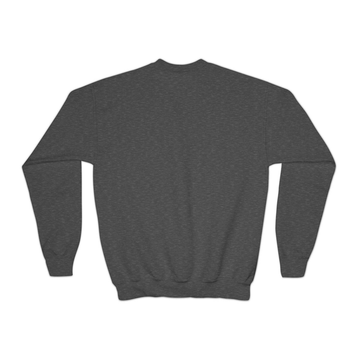 Sweat-shirt à col rond pour jeunes