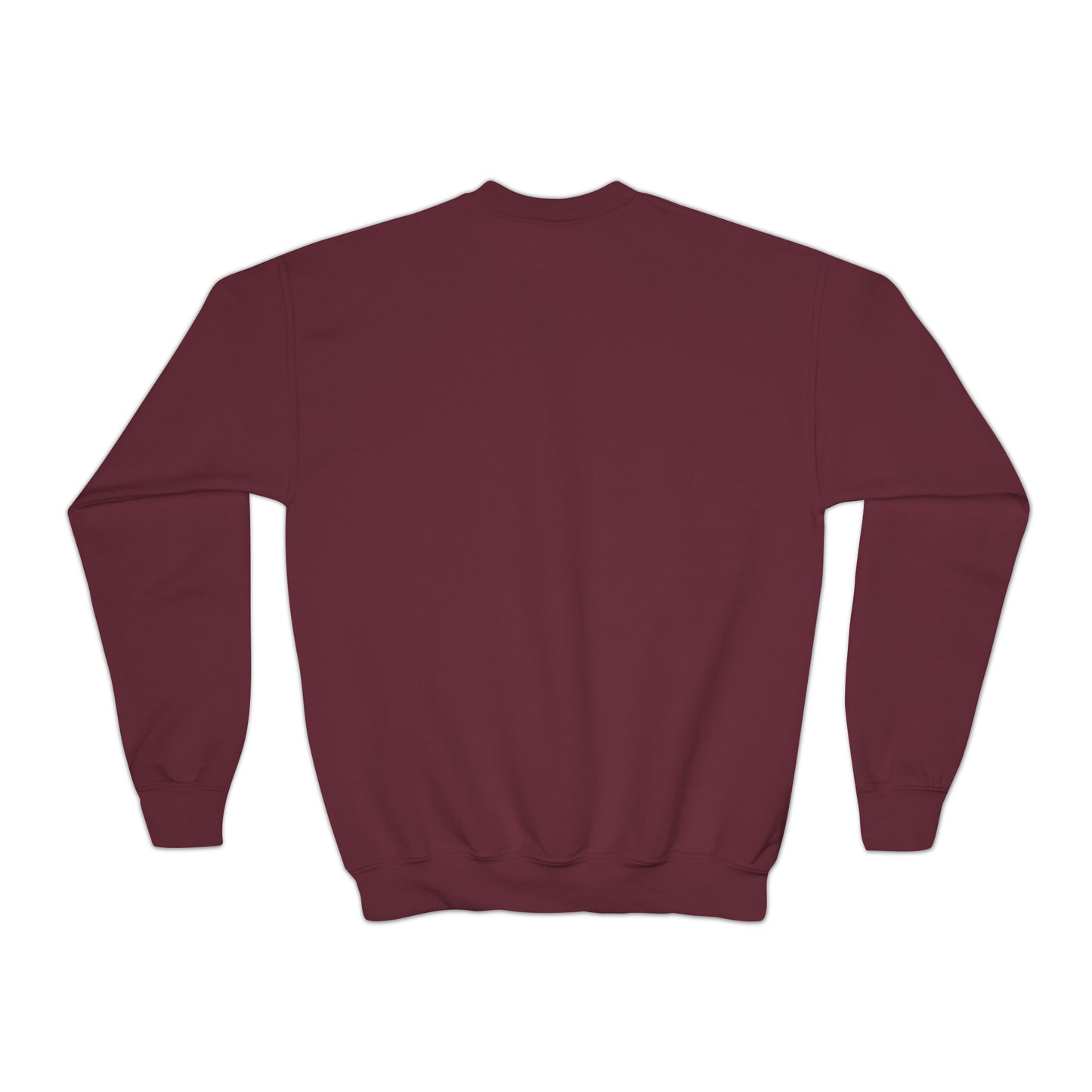 Sweat-shirt à col rond pour jeunes