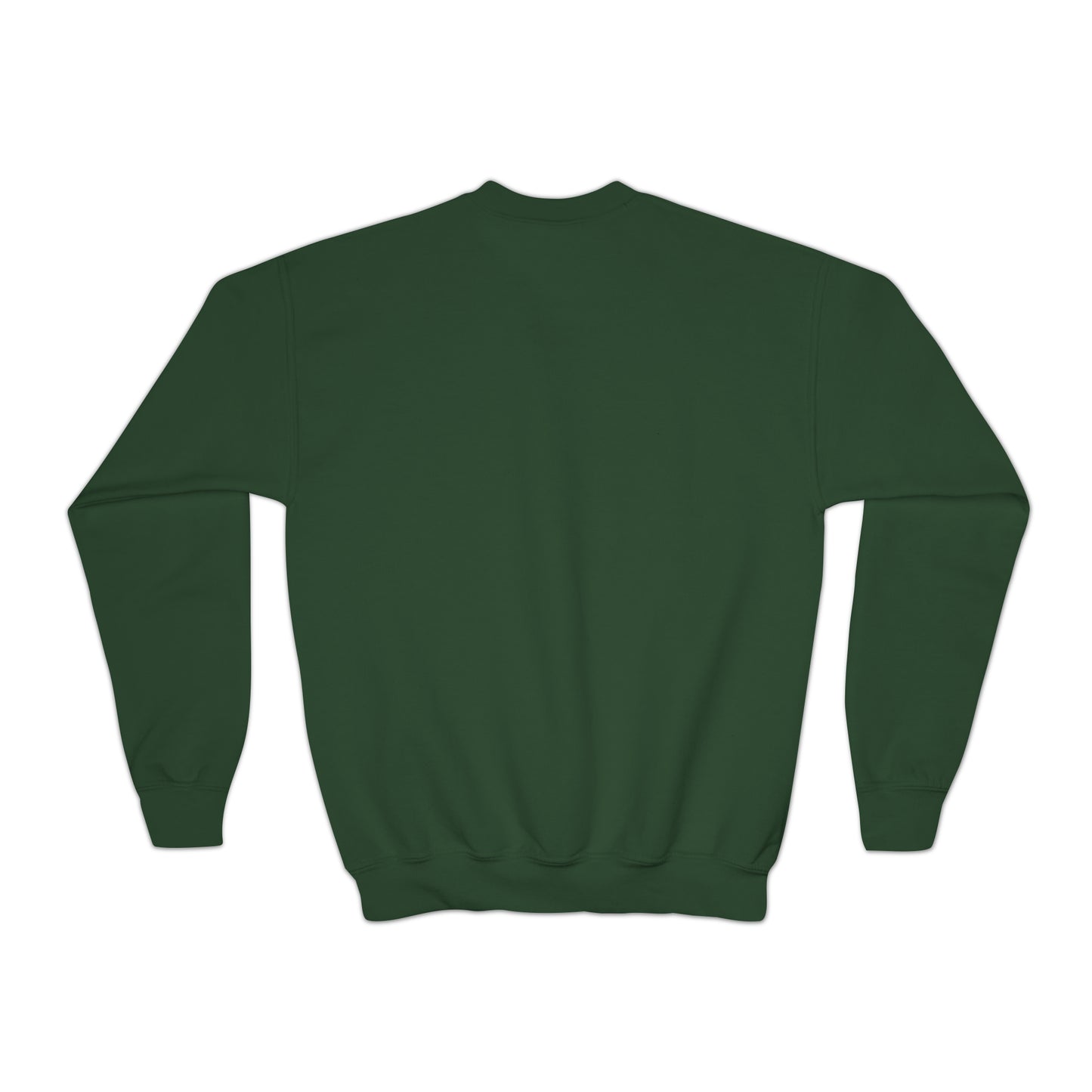Sweat-shirt à col rond pour jeunes